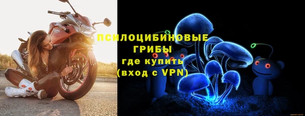 бошки Богданович