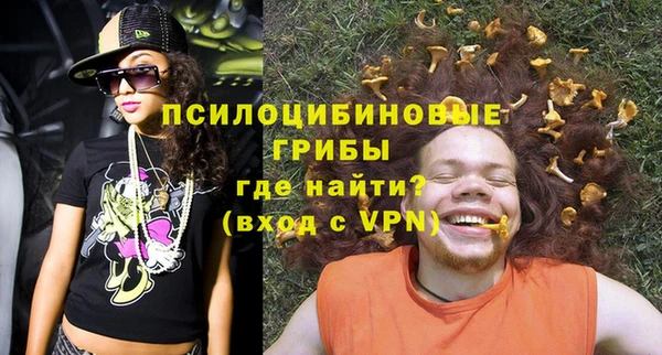 бошки Богданович