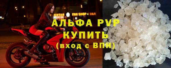 бошки Богданович
