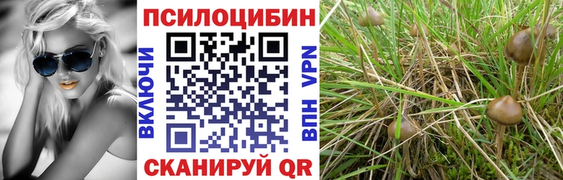 Галлюциногенные грибы Magic Shrooms  Купить  Губкин 